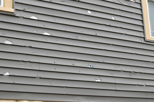 Professional Siding Installation in Johnson, AR